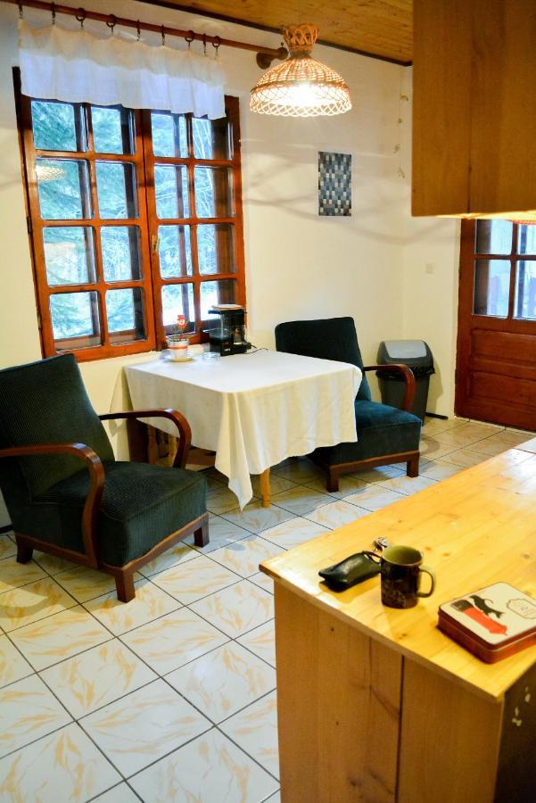 Grandpa'S Hidden Crib, 6 Bedroom, Pet Friendly Sinaia Exterior foto